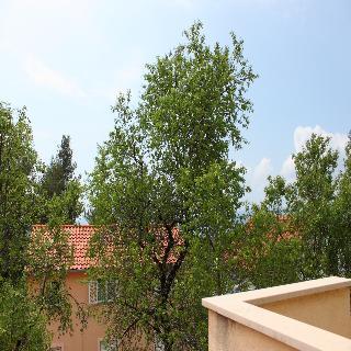 Hotel Villa Meridiana