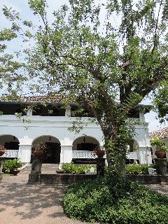 Hotel Boutique Tamarind Hill