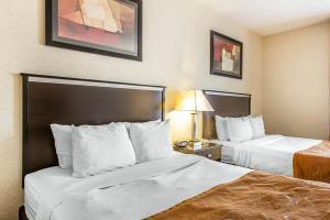 Hotel Comfort Suites Summit County