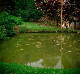 Hostal Delicias Da Tilapia