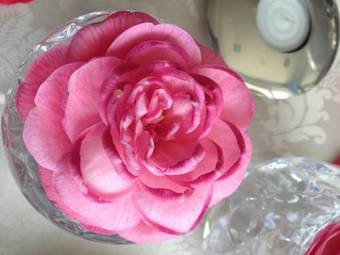 Hotel Quinta De Resela