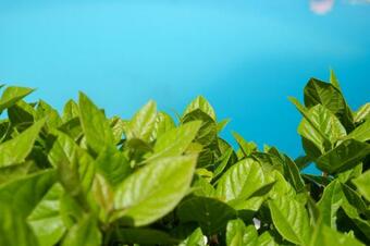 Chill And Relax In A Home With Pool Near The Beach