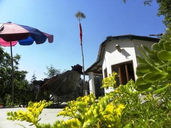 The Cabin By The Woods