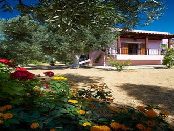 Villa Athina: Experience The Real Cretan Nature!