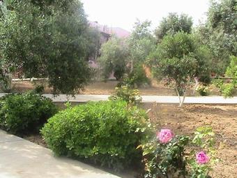 Relax And Enjoy The Nature At Villa Afroditi!