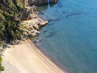 Hotel Elivi Skiathos