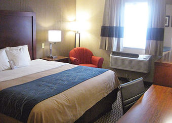 Hotel Comfort Inn University