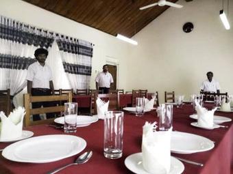 Eco - Friendly Travel