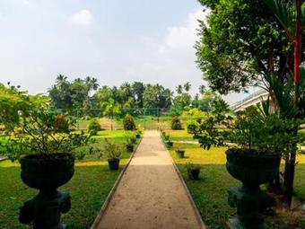 Hotel Tranquil Villa