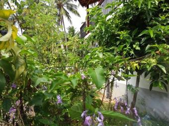 Talalla Sea Anemone Hotel