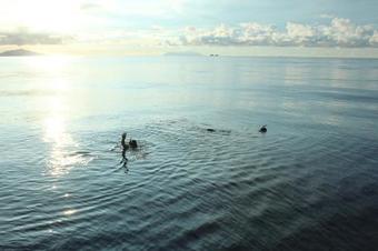 Seyscapes Yacht Charter Tina