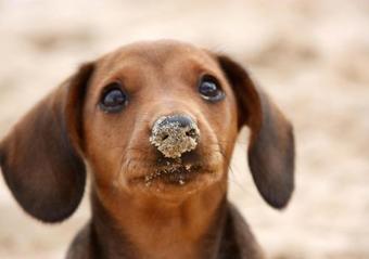 Apartamento Morgans Retreat