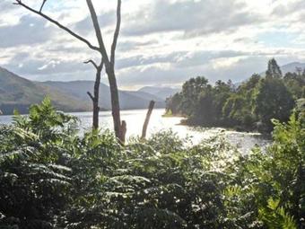 Merlin, Spean Bridge