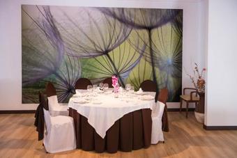 Hotel Las Terrazas & Suite