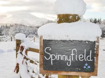 Spinnyfield