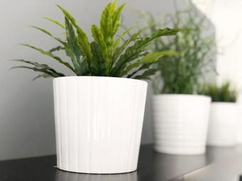 Lux Blu - Vinery Meadow