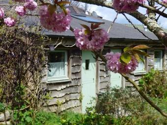 Bed & Breakfast The Hen House