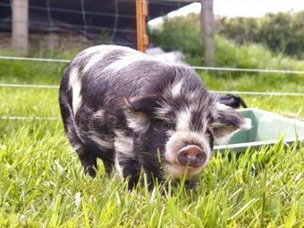 Holiday Home Miller's Rest