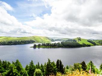 Caban Ceirw (deer Cabin)