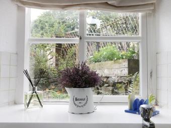 Crooked Cottage, York