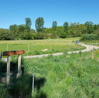 Apartamento Domstolens Magasin