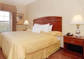 Hotel Comfort Suites