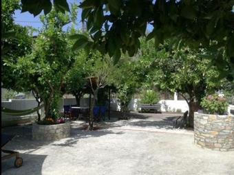 Lemon Tree And Olive Garden House