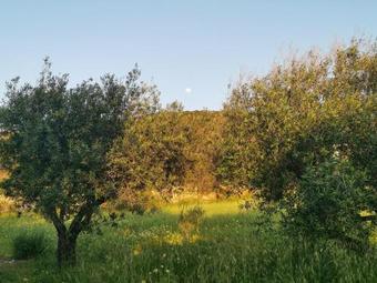 Agroturismo Paros Pounta Sea View Villa