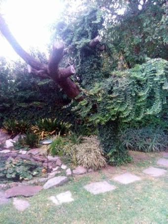 La Gardenia Bed & Breakfast