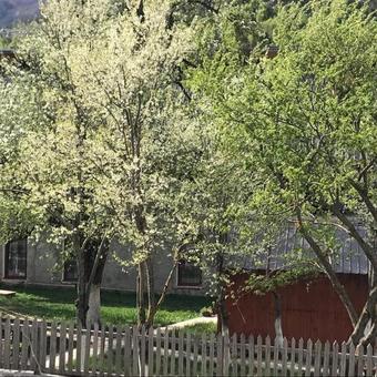 Hostal Guesthouse Demushi