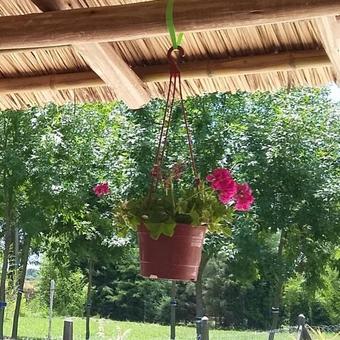 Agroturismo Oasis Campero