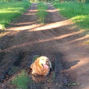Bed & Breakfast Estancia La Dulce - Casa De Huespedes