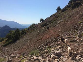 Hostal Bujtina Bashota