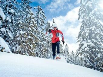 Modern Chalet In Salzburg With Sauna