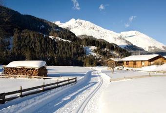 Apartamento Ferienhaus Gapp