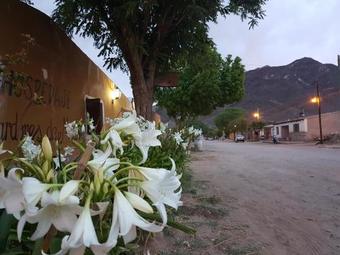 Bed & Breakfast Cardones De Molinos