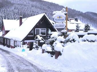 Large Apartment Near Ski Slopes In Herzberg