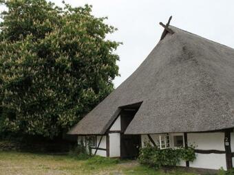 Quaint Apartment In Reddelich With Sauna