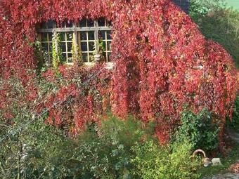 Welcoming Apartment With Naturistic Views In Restchow