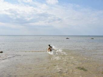 Das Wei�e Strandhaus Mit Kamin