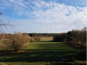 Apartamento Ferienwohnung Witt