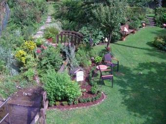 4-sterne-haus-am-wald