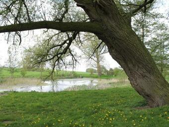 Farmhouse Bungalow In Neubukow Lovely Garden