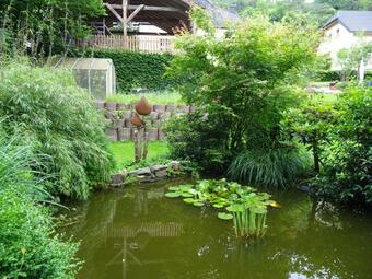 Apartment In Waxweiler With Sauna, Terrace, Garden, Bbq