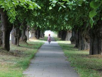 Cozy Apartment In Grundshagen With Garden