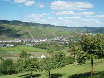 Luxurious Apartment In Kinheim In Idyllic Vineyards