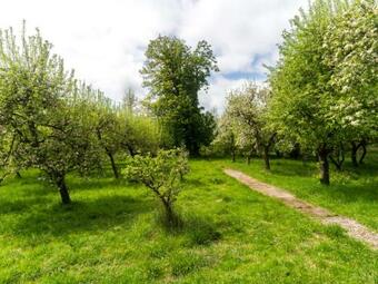 Apartamento Gartenbungalow 1 Linke Seite