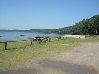 Apartment Kamminke 3