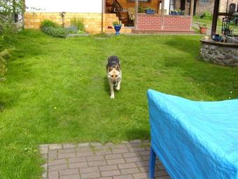 Holiday Home Kamminke/insel Usedom 3203