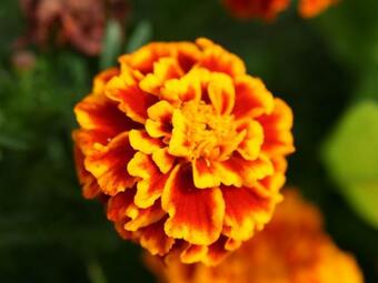 Alluring Apartment In Hillesheim With Patio